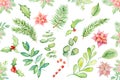 Merry Christmas watercolor floral winter elements. Happy New Year card, posters. Flowers, pine tree, spruce branches and mistletoe