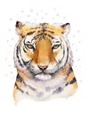 Merry Christmas watercolor lettering with isolated cute cartoon watercolor fun Siberian tiger illustration. Hand drawing Royalty Free Stock Photo