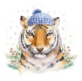 Merry Christmas watercolor lettering with isolated cute cartoon watercolor fun Siberian tiger illustration. Hand drawing Royalty Free Stock Photo