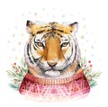 Merry Christmas watercolor lettering with isolated cute cartoon watercolor fun Siberian tiger illustration. Hand drawing Royalty Free Stock Photo