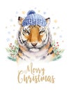 Merry Christmas watercolor lettering with isolated cute cartoon watercolor fun Siberian tiger illustration. Hand drawing