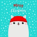 Merry Christmas. White cat kitten kitty head face. Red hat. Happy New Year. Greeting card. Cute cartoon kawaii baby character. Royalty Free Stock Photo