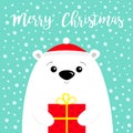 Merry Christmas. White polar bear cub face holding gift box present. Red Santa Claus hat. Happy New Year. Cute cartoon baby Royalty Free Stock Photo