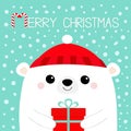 Merry Christmas. White polar bear head face holding gift box. Red hat. Happy New Year. Cute cartoon kawaii baby character. Funny Royalty Free Stock Photo