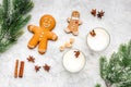 Merry christmas in winter evening with alcohol drink. Eggnog with gingerbread cookie, cinnamon and spruce on stone desk Royalty Free Stock Photo