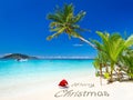 Merry Christmas wishes from the tropical beach Royalty Free Stock Photo