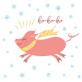 Merry Christmas wishing, greeting card Christmas sticker. Pig with scarf Banner label sign print poster Royalty Free Stock Photo