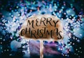 Merry Christmas wooden sign illuminated with holiday lights against a backdrop of Christmas trees adorned with festive lights