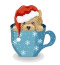 Merry Christmas Yorkshire terrier dog in cup Royalty Free Stock Photo