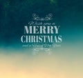 Merry Crhistmas Typography over a delicate nature backgroun