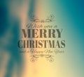 Merry Crhistmas Typography over a delicate nature backgroun