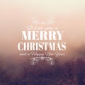 Merry Crhistmas Typography over a delicate nature backgroun