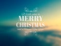 Merry Crhistmas Typography over a delicate nature backgroun