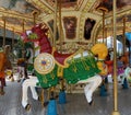 Merry Go Round Horse in Amusement Park