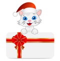 Merry kitten in a christmas cap and greeting-card