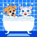 Merry kitten and dog bath in bath