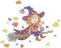 Merry little witch flying on a magic broom Royalty Free Stock Photo