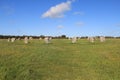 Merry Maidens Stone Circle In Summer - Cornwall, UK Royalty Free Stock Photo