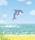 Merry and playful little dolphin in a jump Royalty Free Stock Photo