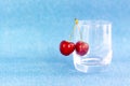 Merry. Red cherries hang on transparent glass. A ripe berry in a glass on a blue background. Royalty Free Stock Photo