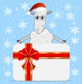 Merry sheep and greeting-card