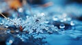 Merry winter: snowflake close up in frosty weather