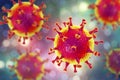 MERS virus, Meadle-East Respiratory Syndrome coronovirus