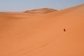 Footprints in desert sand Royalty Free Stock Photo