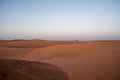 Morning in the dunes Royalty Free Stock Photo