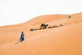 Merzouga, Morocco - APRIL 29 2019: Moroccan walking in the desert by the camels, in Sahara Royalty Free Stock Photo