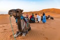 MERZOUGA, MOROCCO - August 02: A Berber male guide in traditional dress training a young male camel in the Erg Chebbi