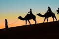 Merzouga, Morocco - December 03, 2018: backlight camels sunset