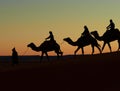 Merzouga, Morocco - December 03, 2018: backlight camels sunset