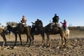 Tourists mount camels for a ride in the Sahara