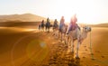 Caravan walking in desert