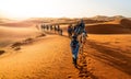 Caravan walking in Merzouga