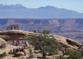 Mesa Arch View