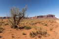 Mesa, Buttes and vegetation Monument Valley Arizona Royalty Free Stock Photo