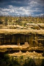 Mesa Verde