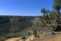 Mesa Verde National Park Royalty Free Stock Photo