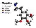 Mescaline 3D model