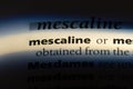 mescaline Royalty Free Stock Photo