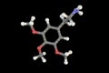 Mescaline molecule, a natural hallucinogenic substance present in the flesh of several cacti