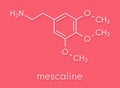 Mescaline peyote cactus psychedelic molecule. Skeletal formula.