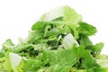 Mesclun, a mix of assorted salad leaves Royalty Free Stock Photo