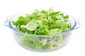 Mesclun, a mix of assorted salad leaves Royalty Free Stock Photo