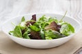 Mesclun mix salad in white bowl Royalty Free Stock Photo