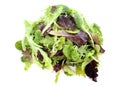 Mesclun salad