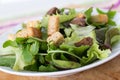 mesclun salad Royalty Free Stock Photo