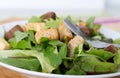 Mesclun salad Royalty Free Stock Photo